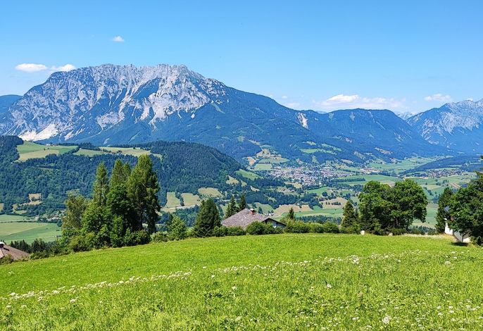 Hauptbild