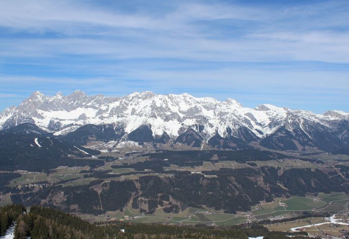 Bild 14