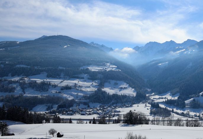 Bild 7