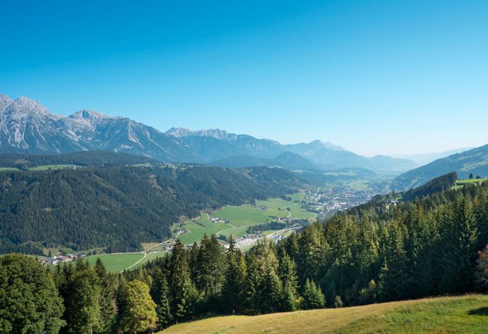 Bild 7