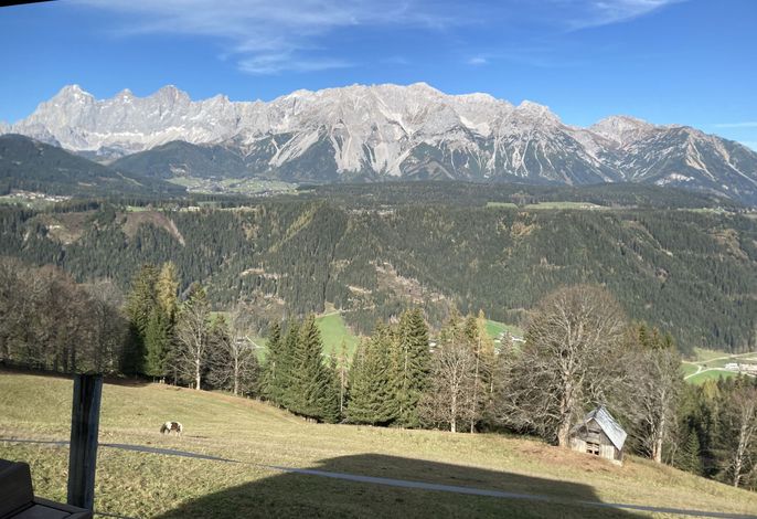 Bild 19