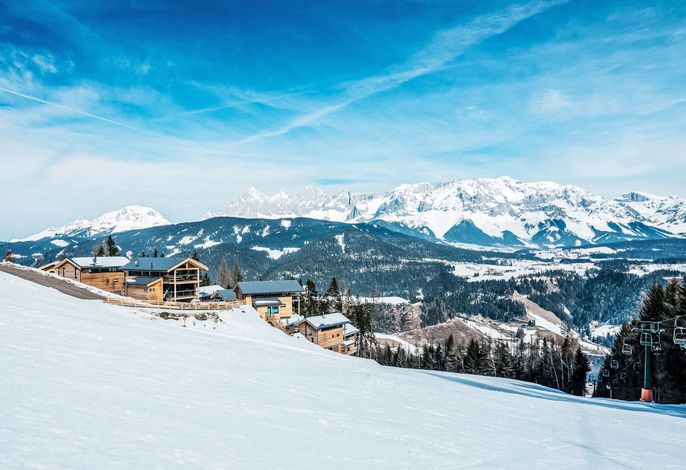 Bild 15