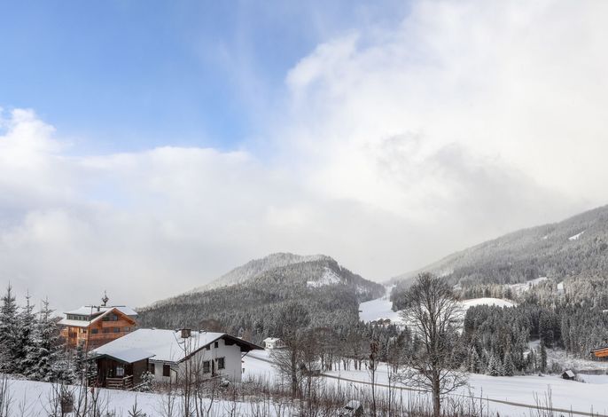 Bild 15