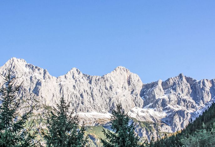 Bild 19