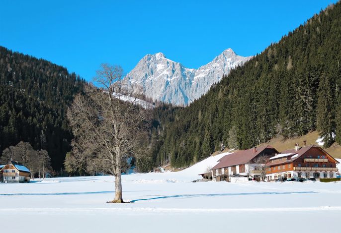 Bild 11