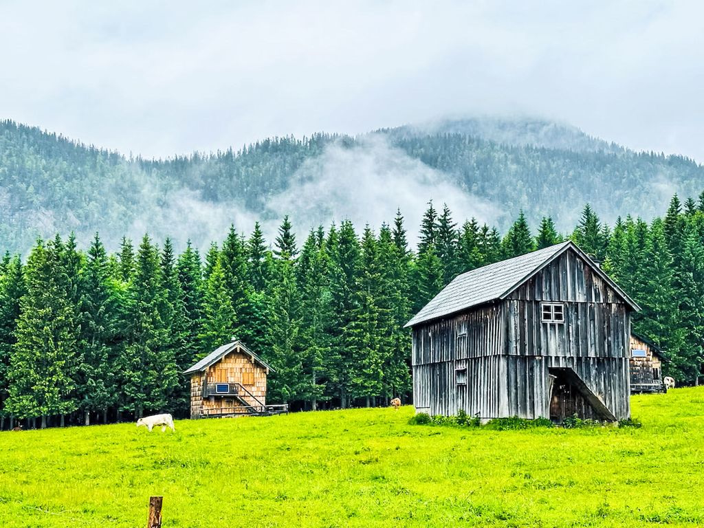 Dachsteinblick