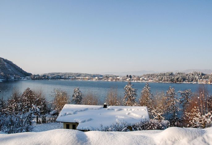 Bild 15