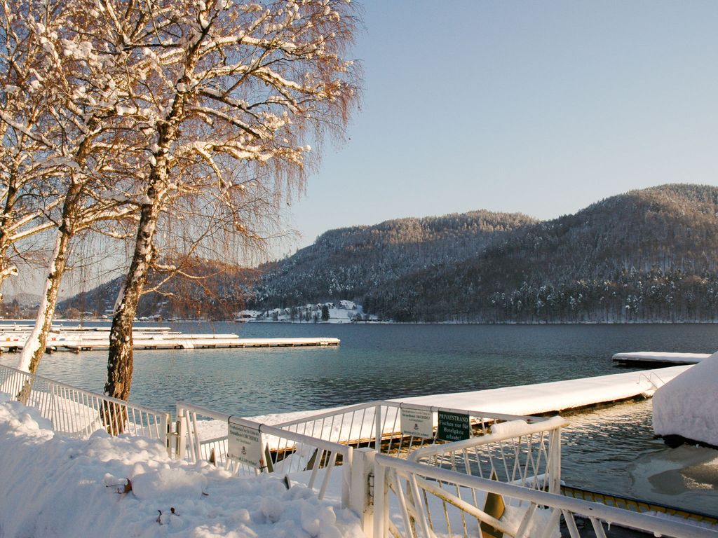 Laube