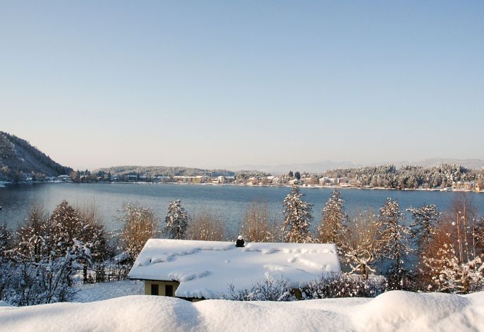 Bild 12