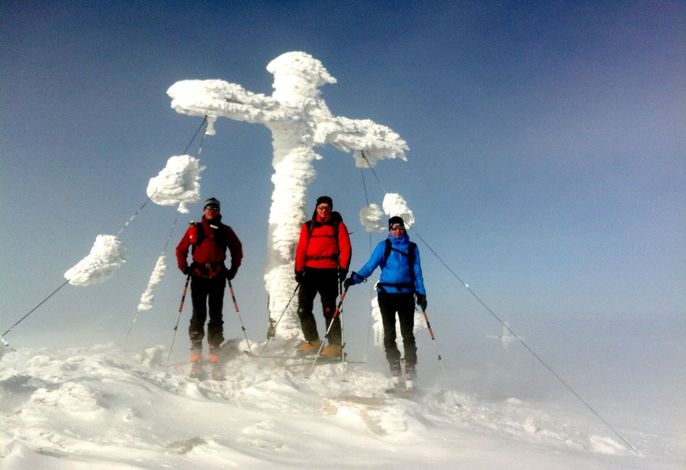 Bild 14
