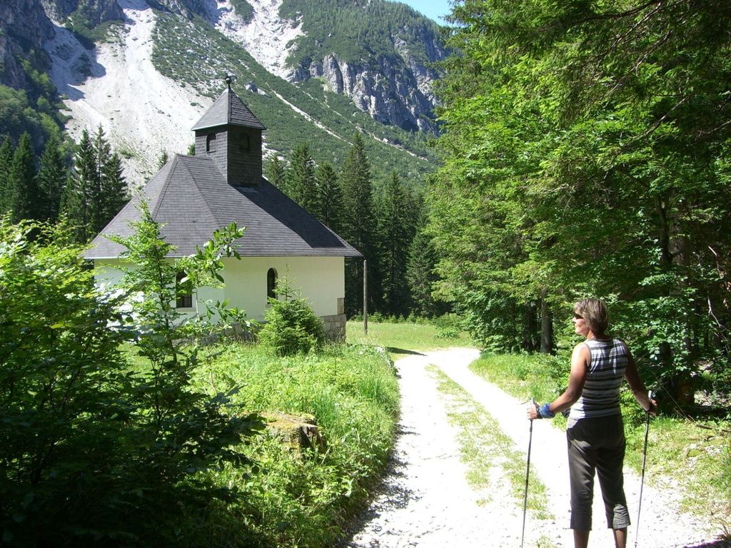 Erle in Feistritz im Rosental