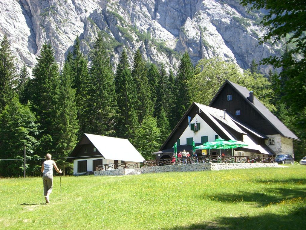 Erle in Feistritz im Rosental