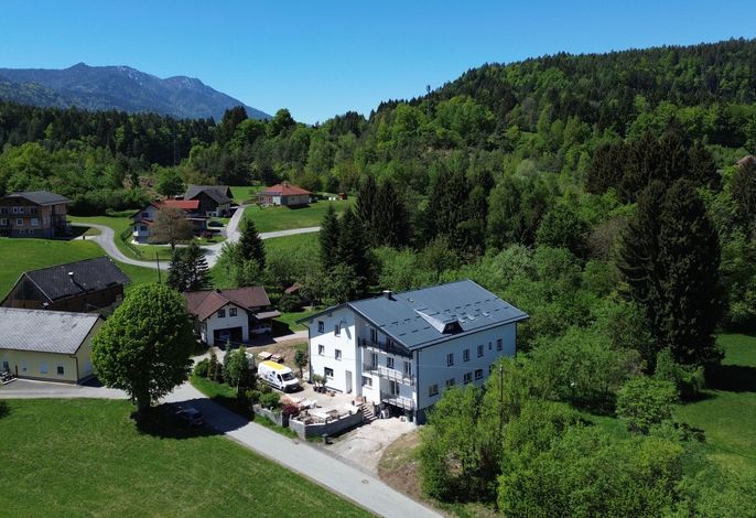 Bild 15