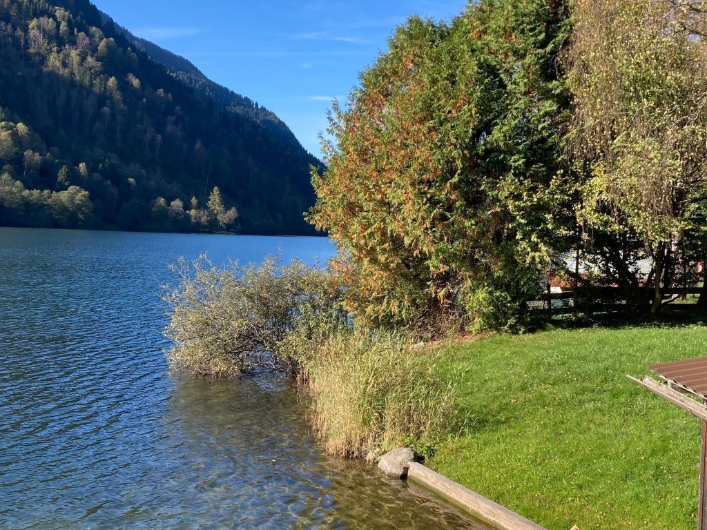 Studio Seebrauer  in Feld am See