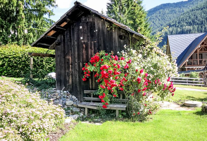 Bild 12