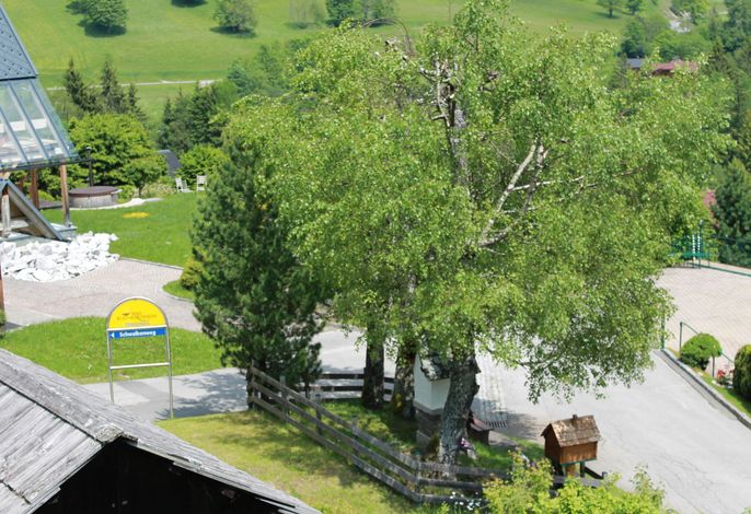 Bild 13