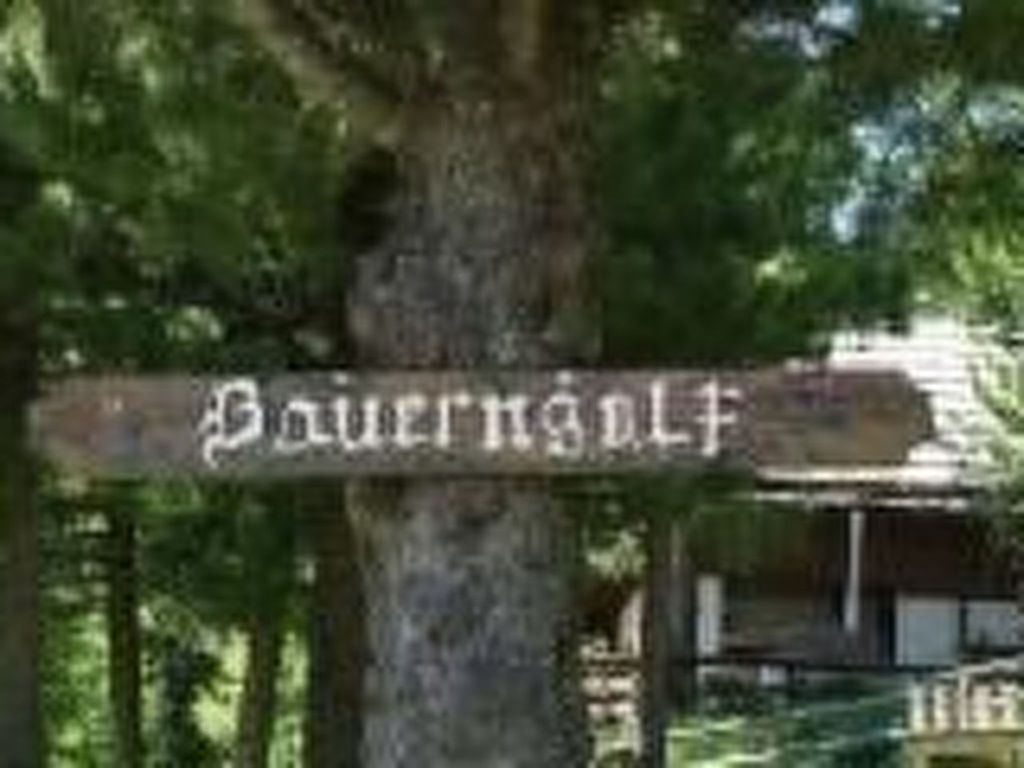 Kärntnerhaus in Falkertsee
