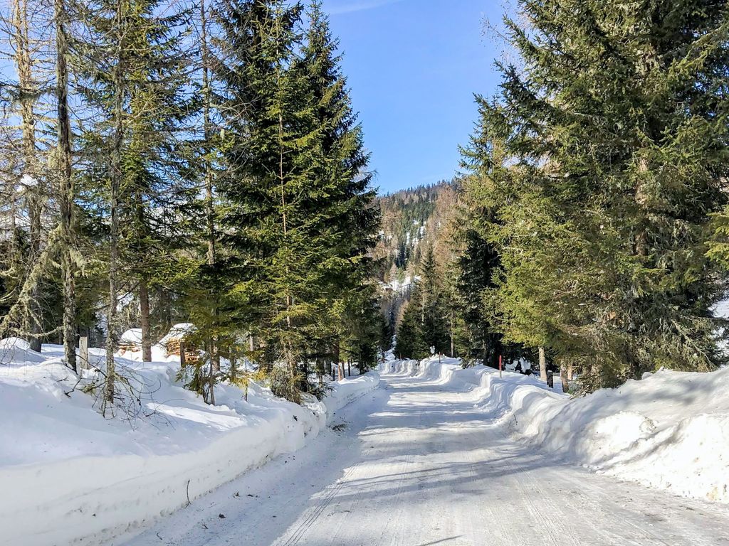 Chalet Amsel
