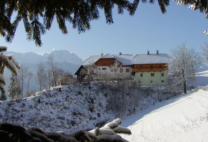 Bild 19
