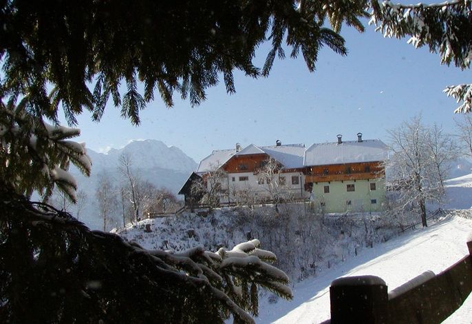 Bild 18