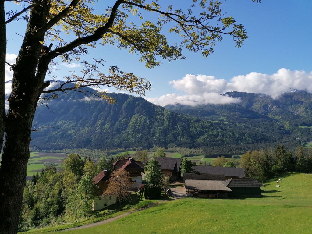 Waldblick in Steinfeld