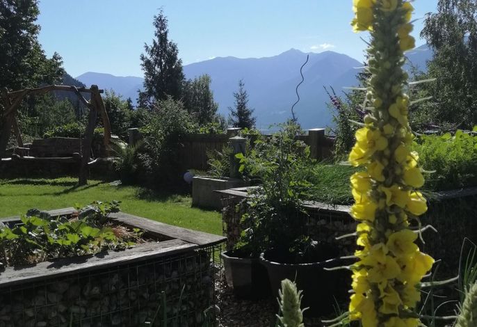 Bild 13