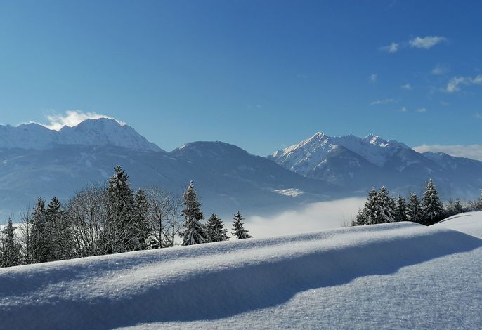 Bild 18