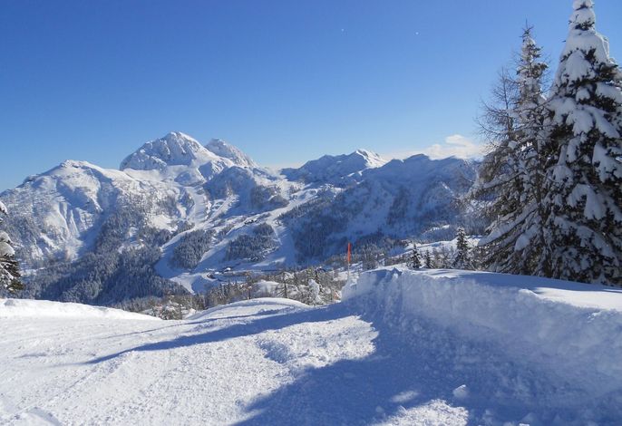 Bild 18