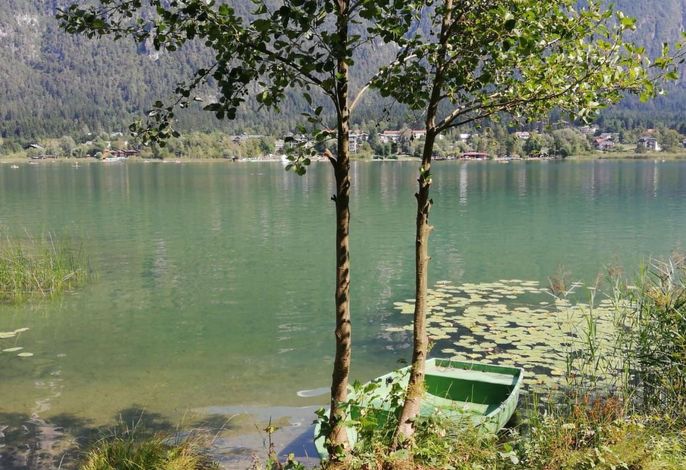 Bild 11
