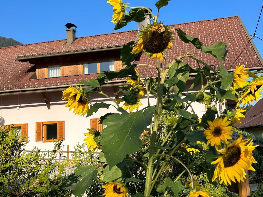 Haus Sunshine