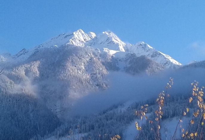 Bild 15