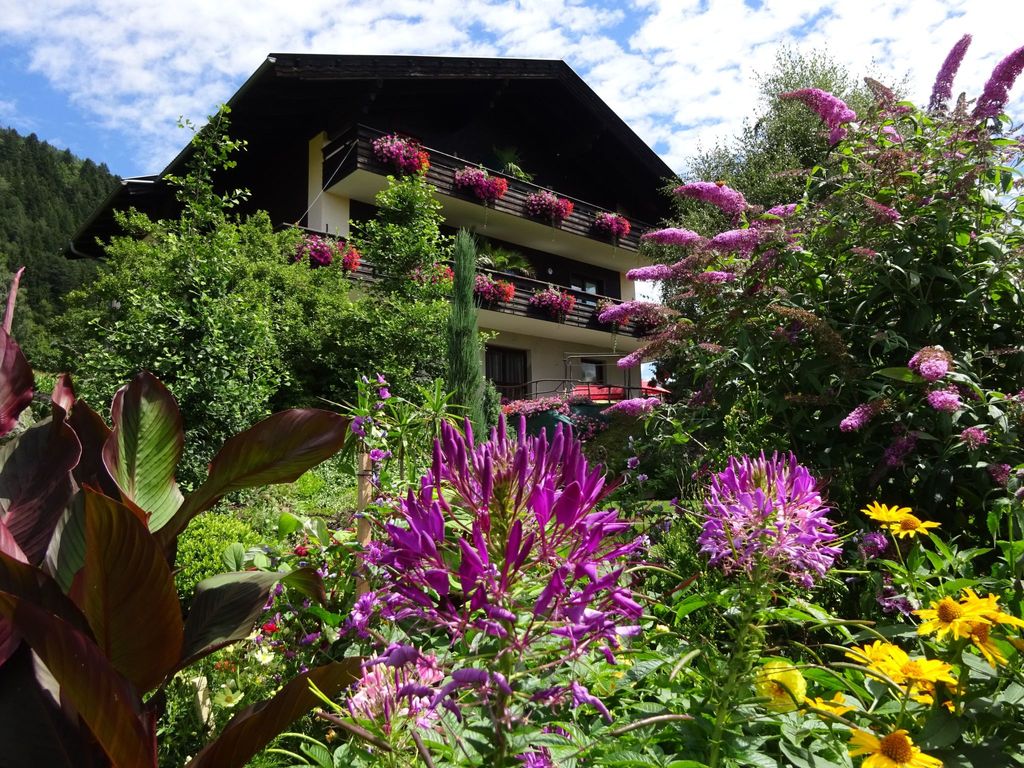 Anemoon in Millstatt