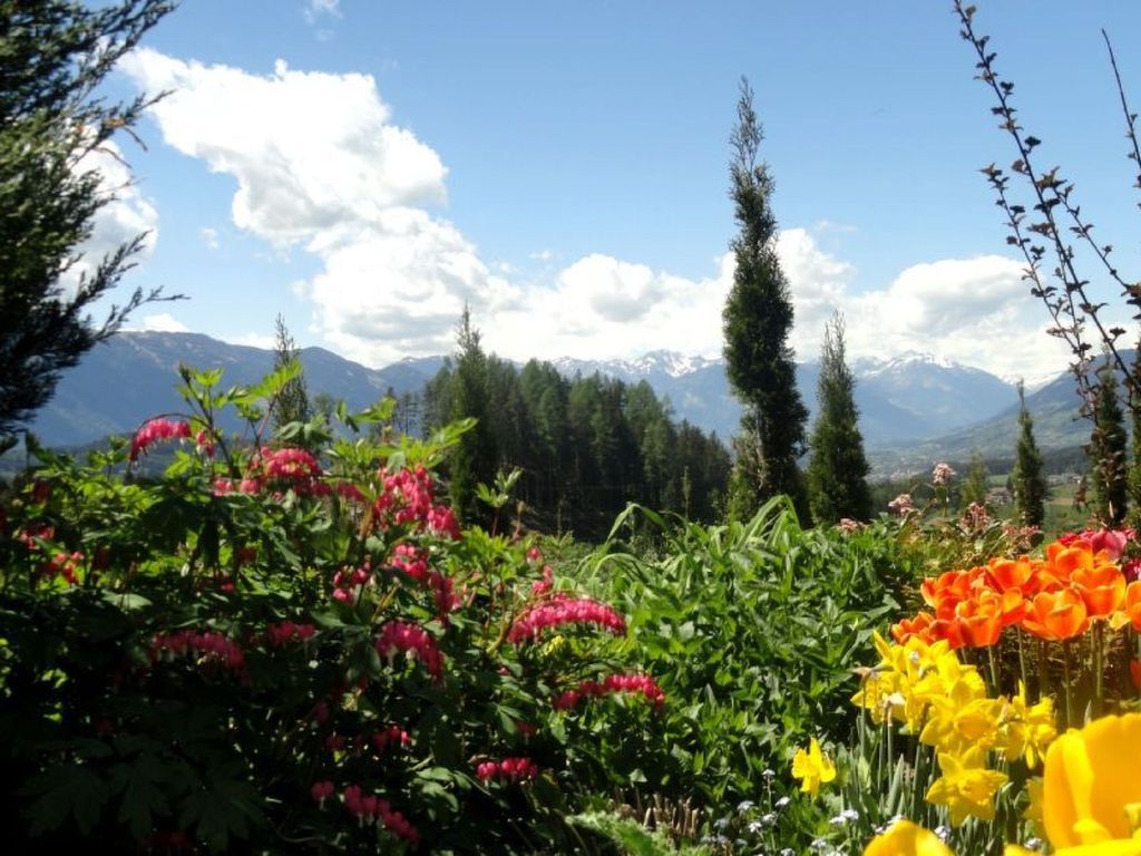Salvia in Millstatt