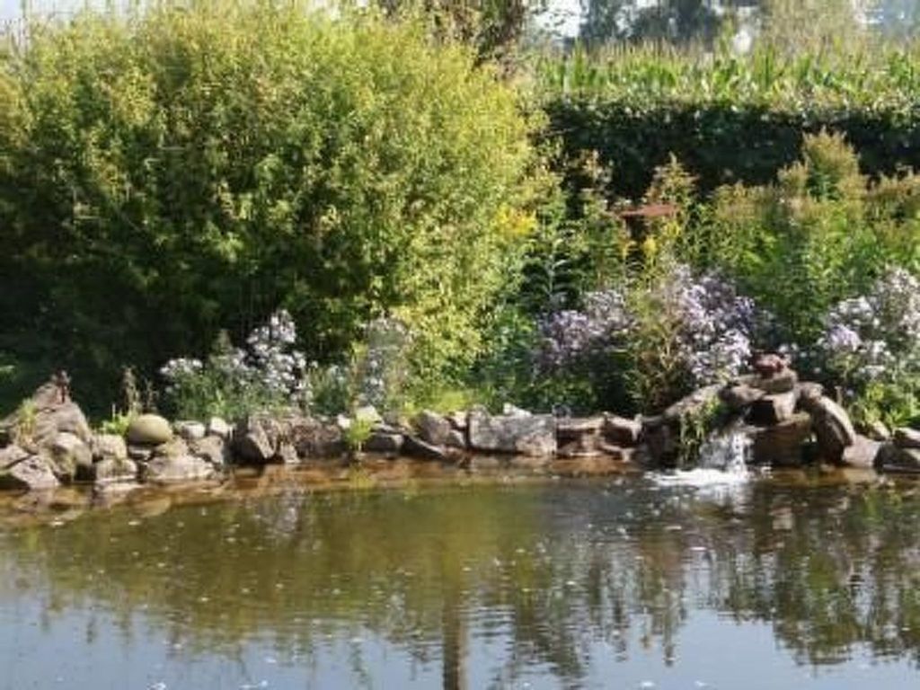 am Teich