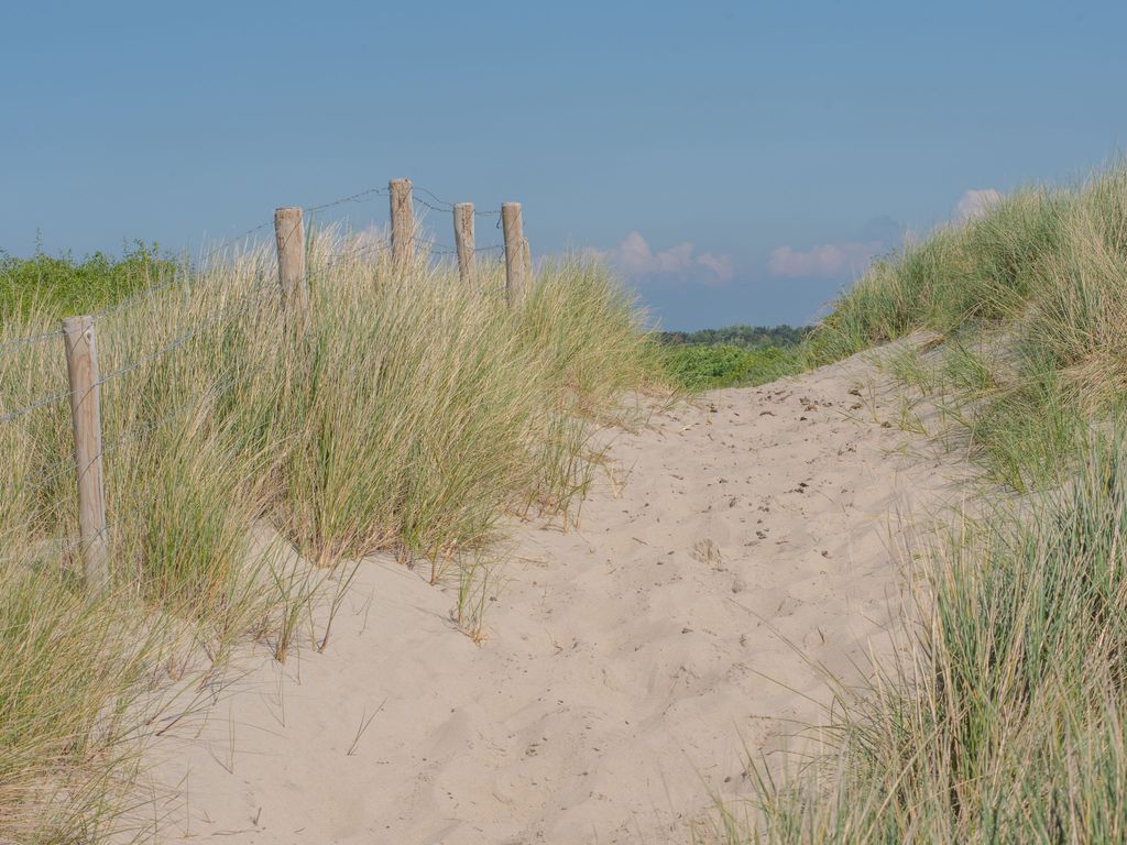 Goethe close to the beach