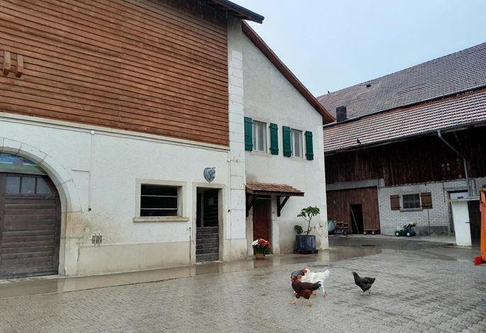 Bild 9