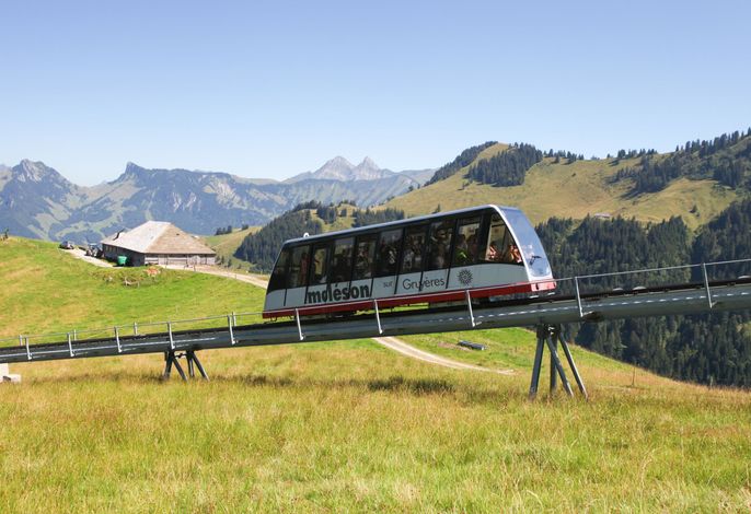 Bild 12