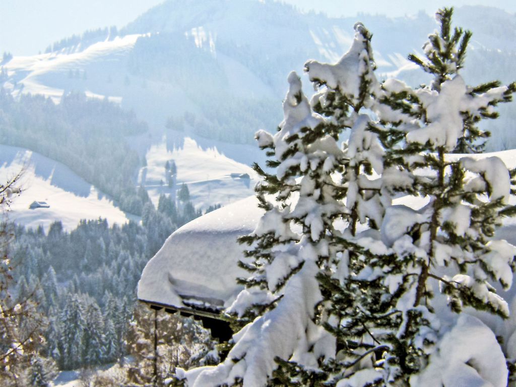 Chalet le Chamois