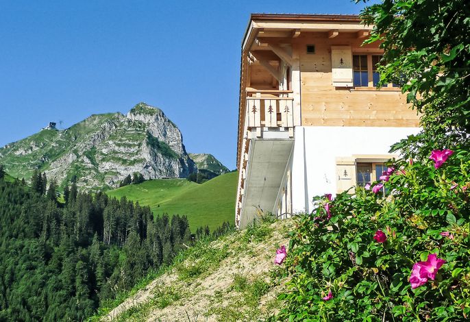 Chalet La Poya