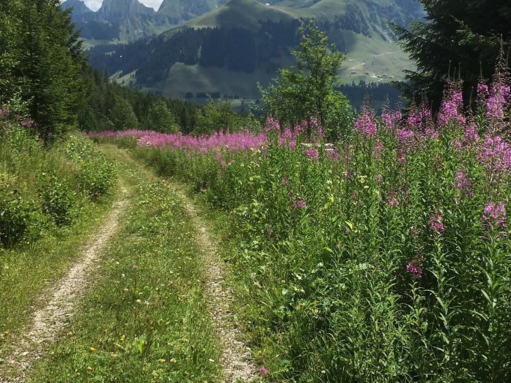 Guggershörnliblick