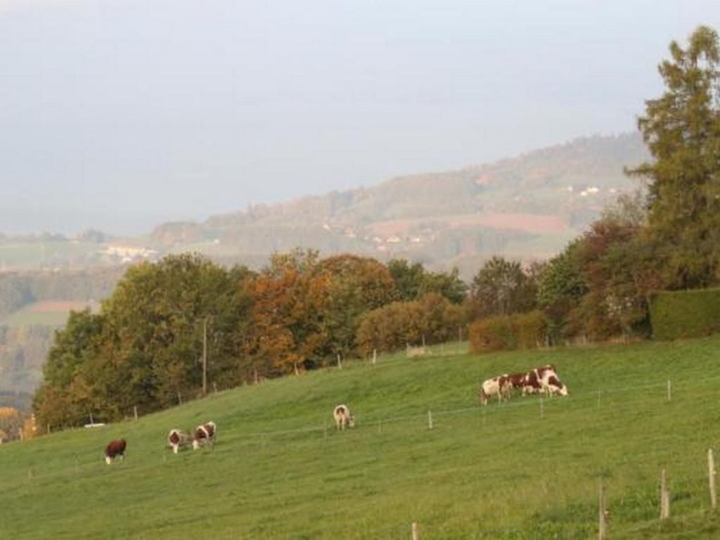 Appartement dans une ferme rénovée (4pers.)