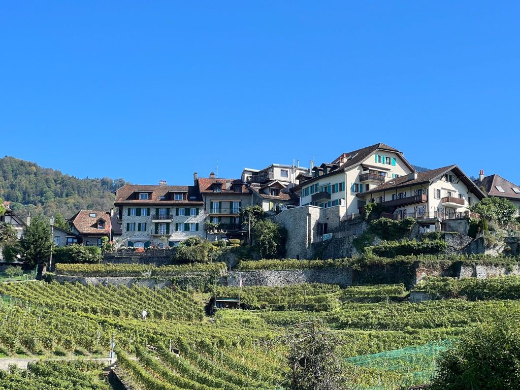 Vigneronne, App. Lac