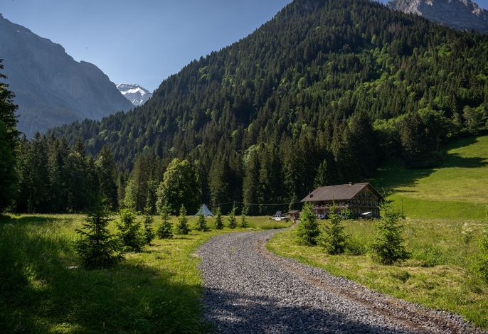 Hauptbild