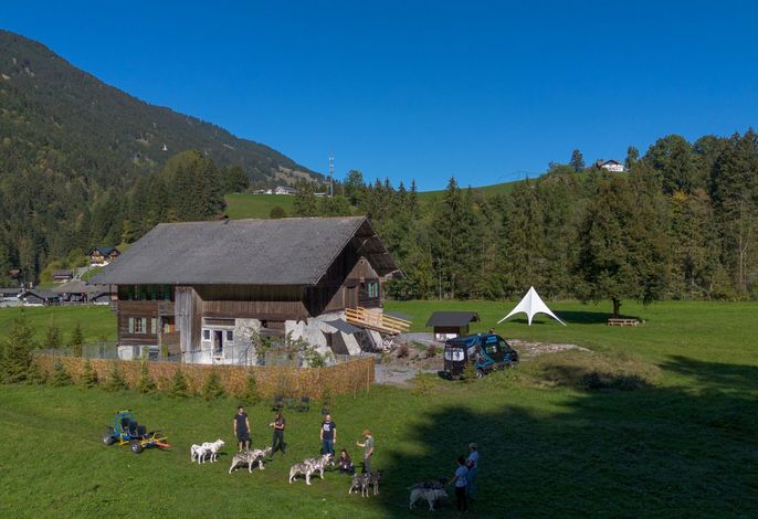 Bild 5