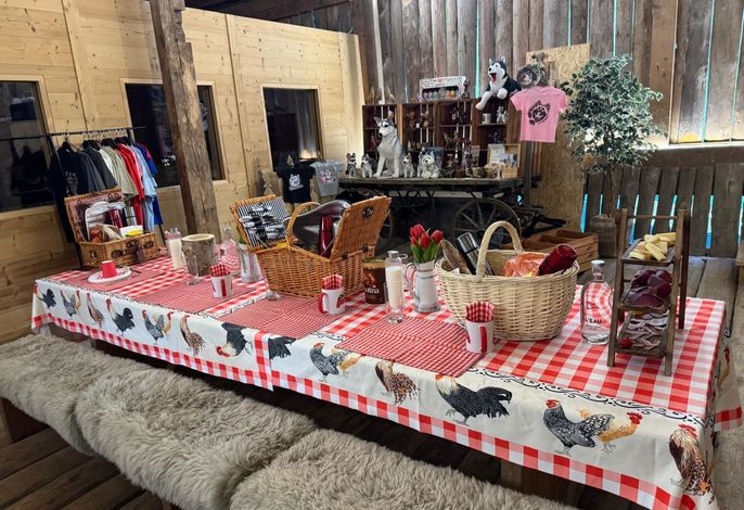 Bild 19
