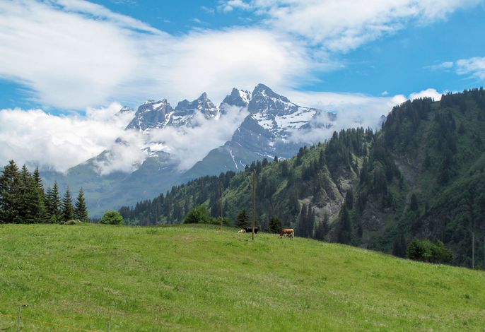 Bild 11