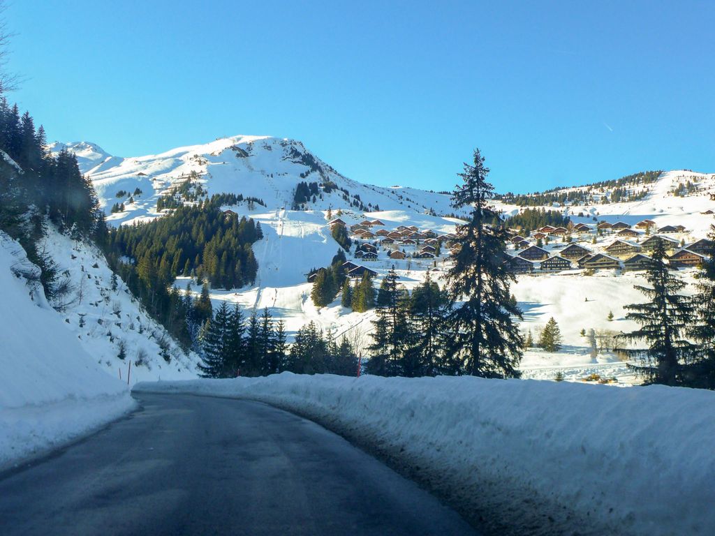 Chalet Iris, appartement N°6, (Champoussin),