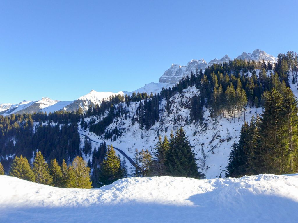 Chalet Iris, appartement N°6, (Champoussin),