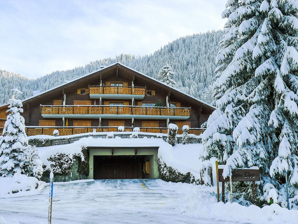 Sapin Bleu 6