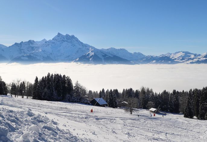 Bild 10